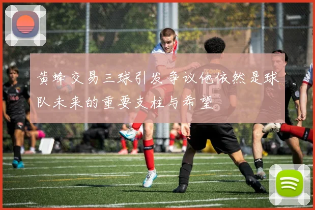 黄蜂交易三球引发争议他依然是球队未来的重要支柱与希望