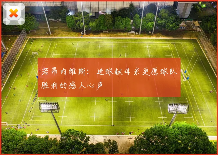 若昂内维斯：进球献母亲更愿球队胜利的感人心声